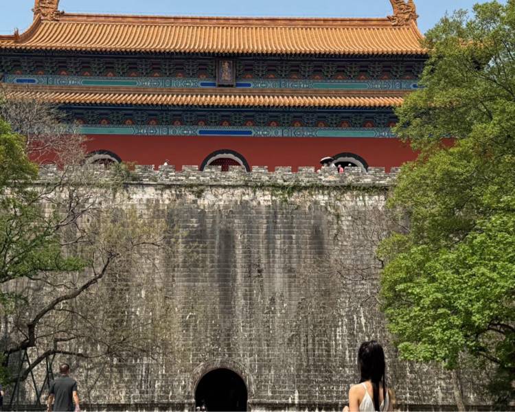 艺人背景图
