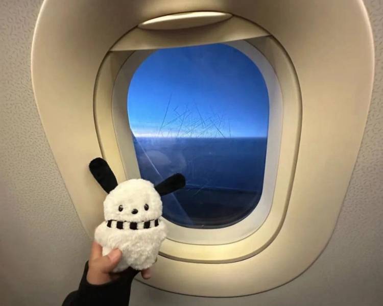 艺人背景图