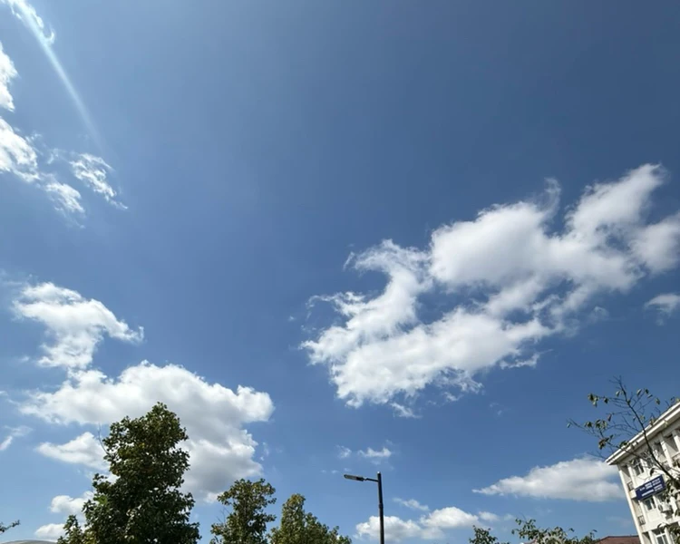 艺人背景图