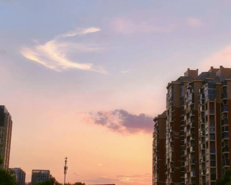 艺人背景图