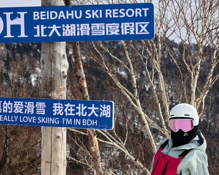 艺人背景图