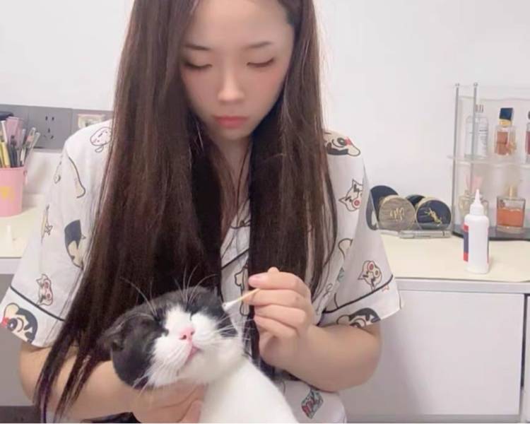 艺人背景图