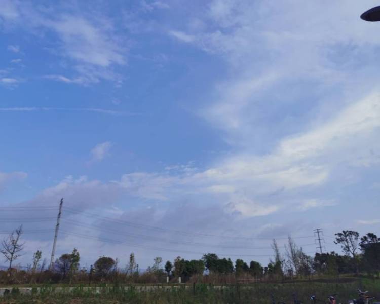艺人背景图
