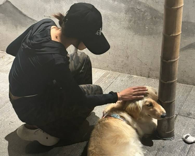 艺人背景图