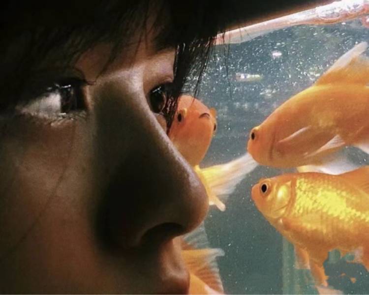 艺人背景图