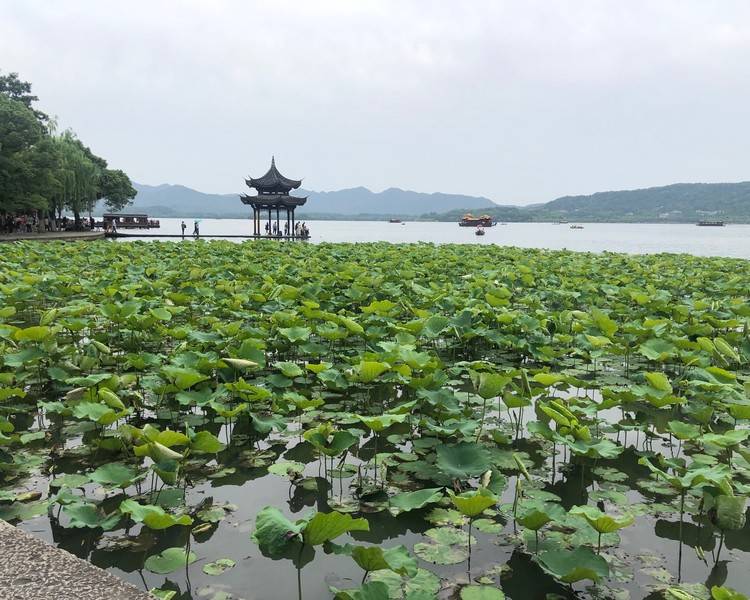 艺人背景图