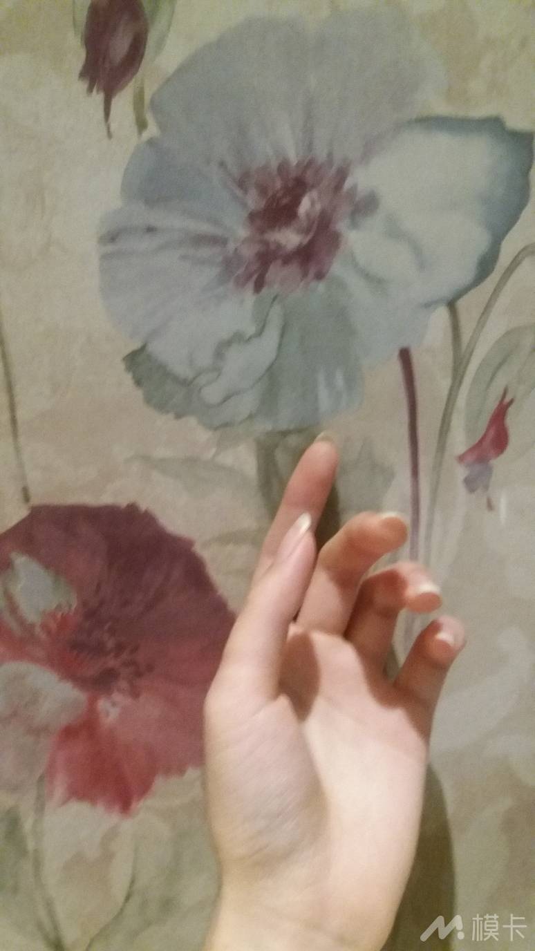 作品图片