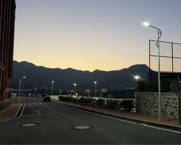 艺人背景图