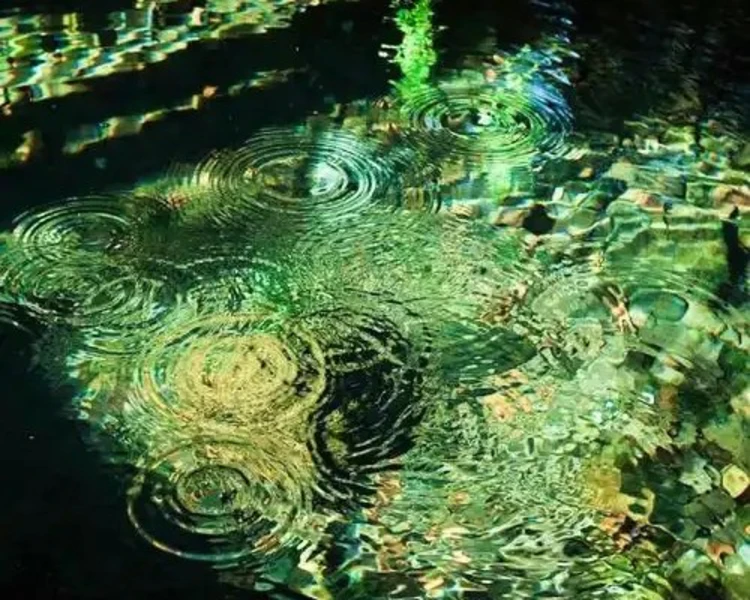 艺人背景图