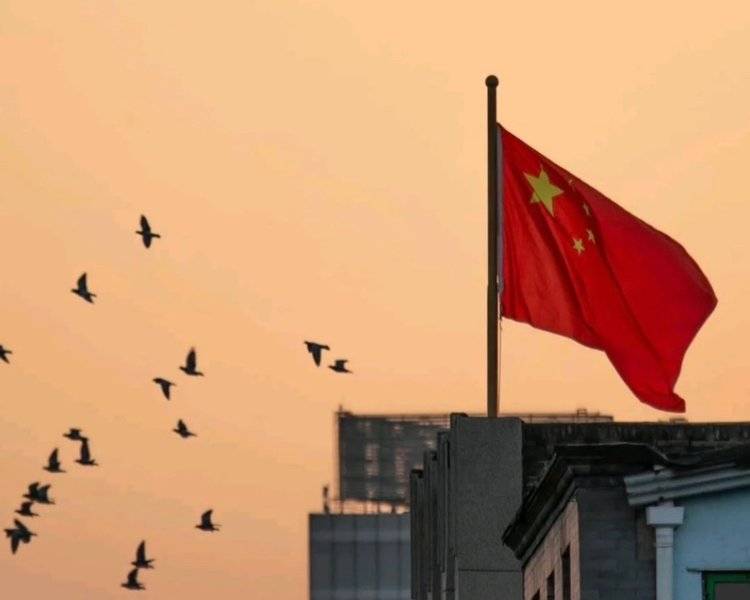 艺人背景图