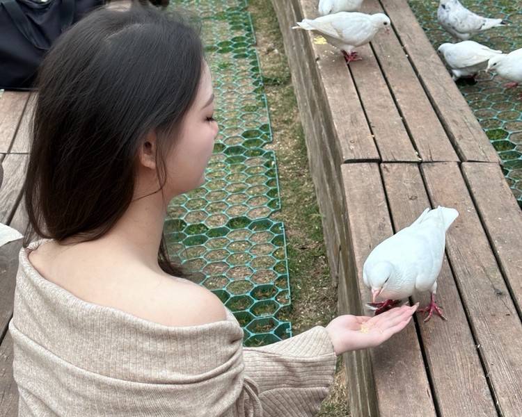 艺人背景图