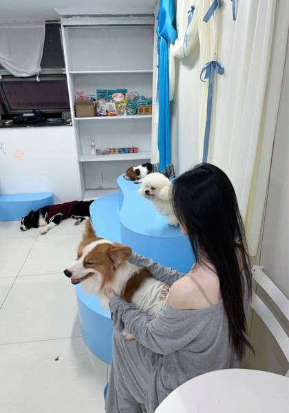 形象照片