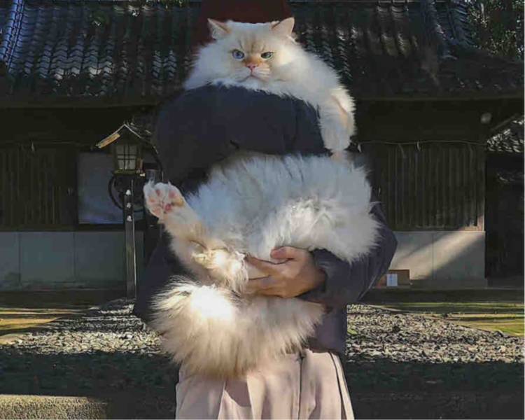 艺人背景图