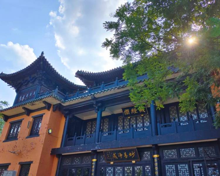 艺人背景图