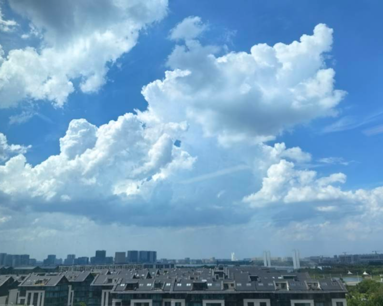 艺人背景图