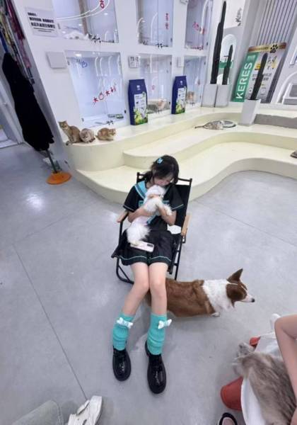 推荐艺人