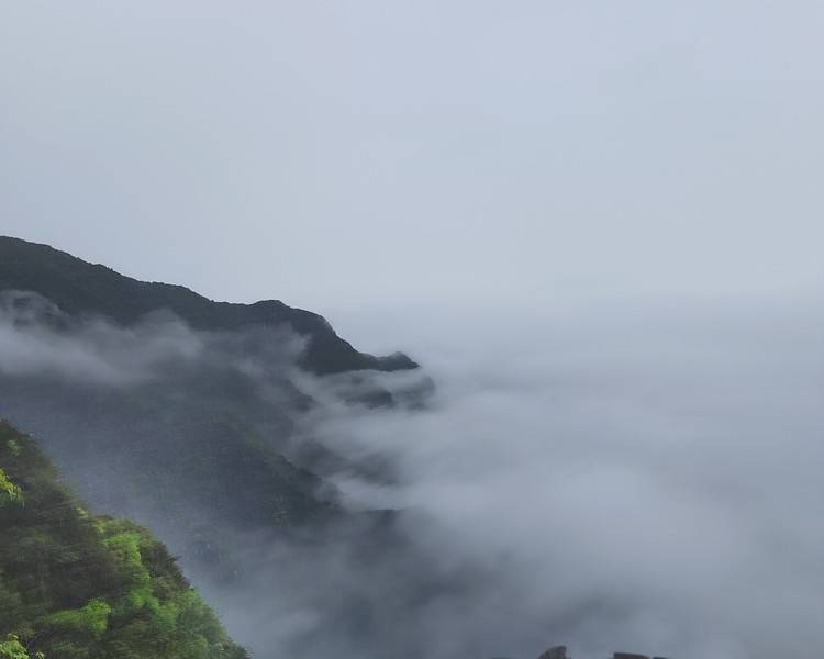 艺人背景图