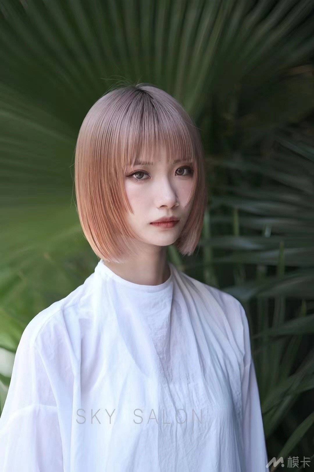 通告图片