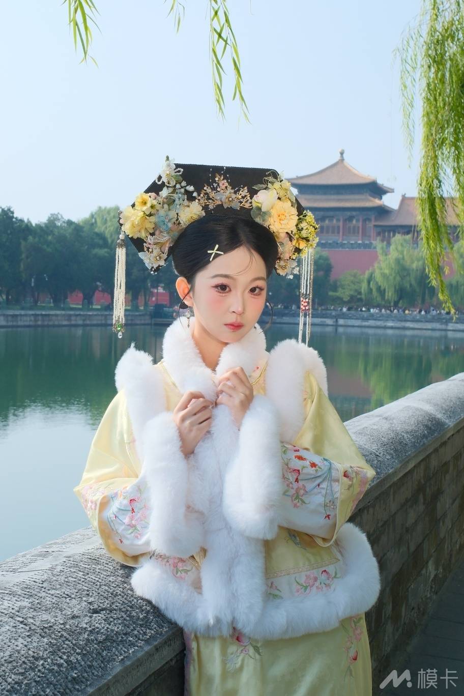作品图片