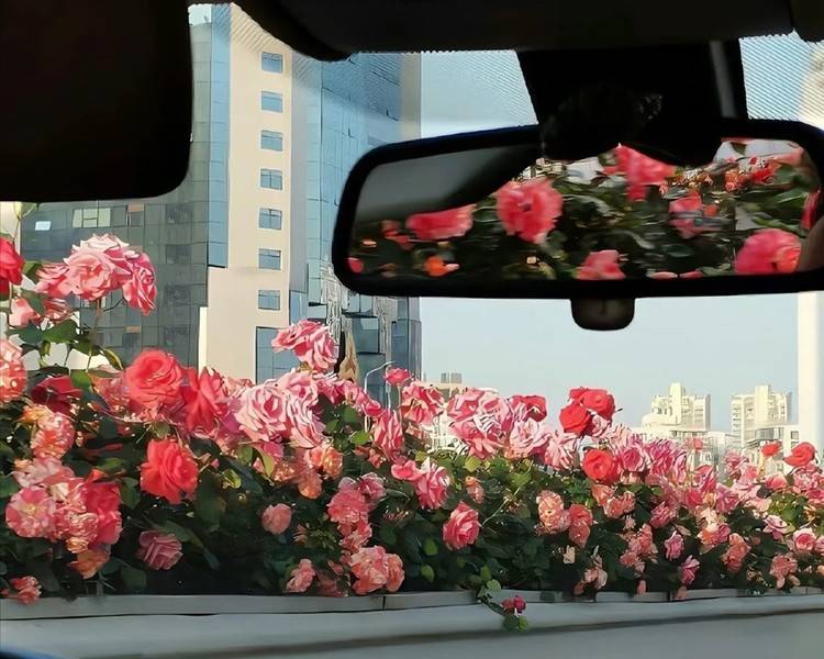 艺人背景图