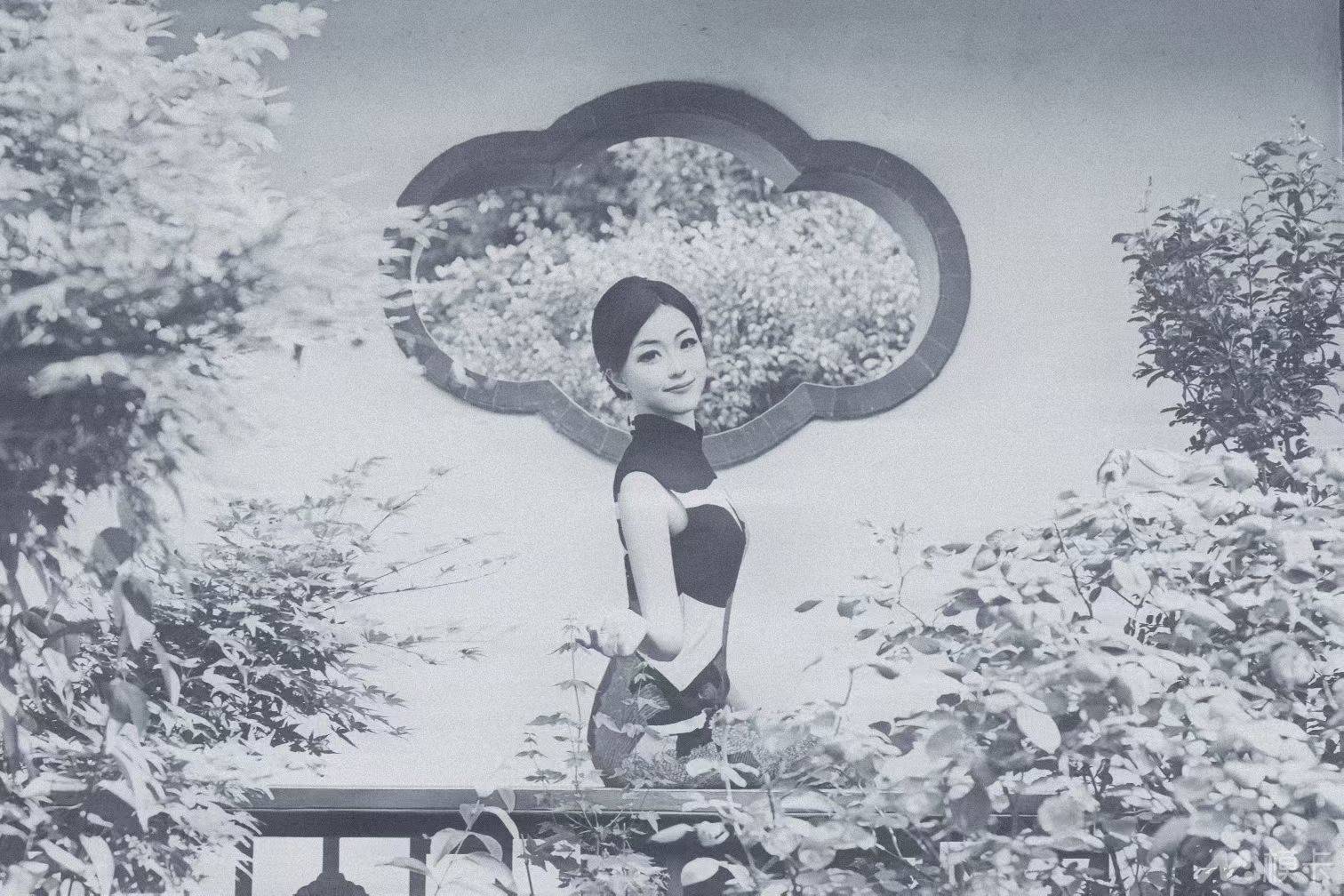 作品图片