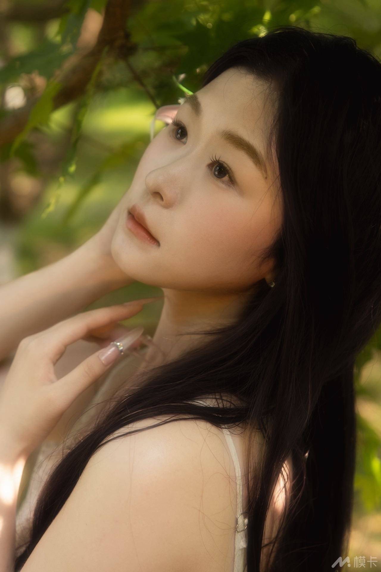 作品图片