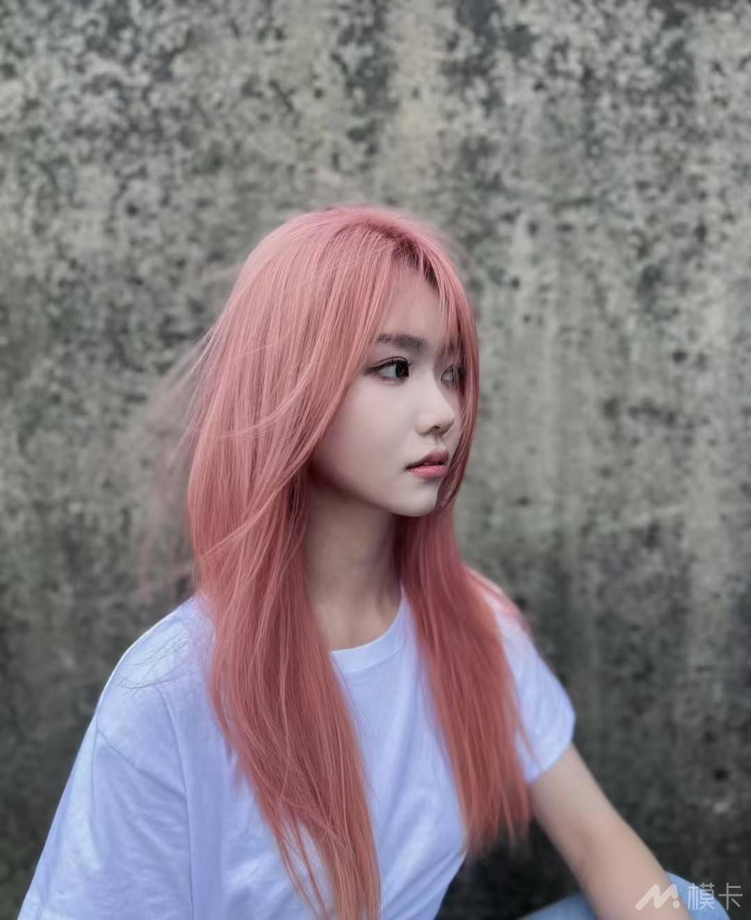 通告图片