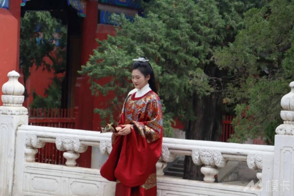 作品图片