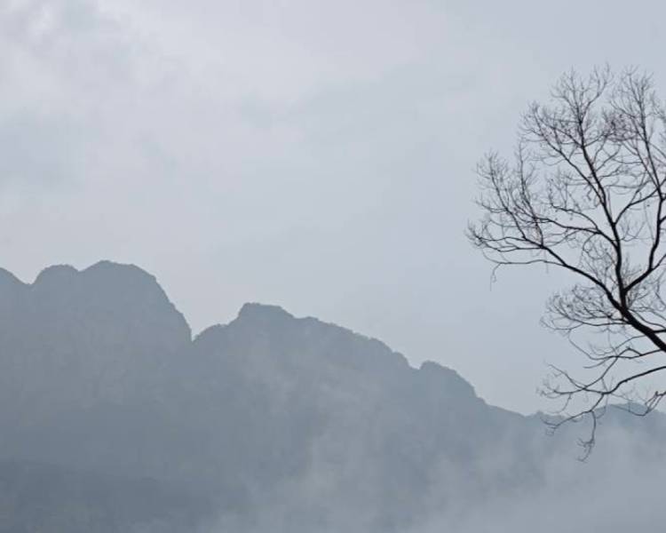 艺人背景图