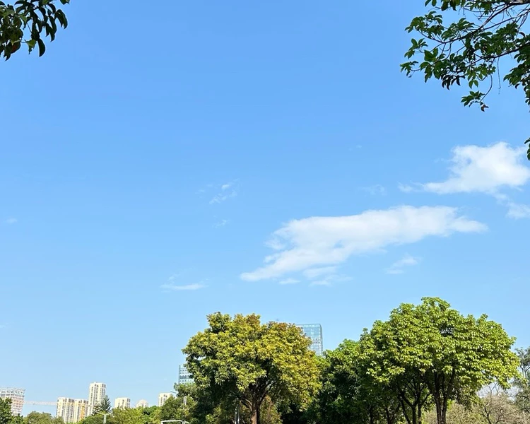 艺人背景图