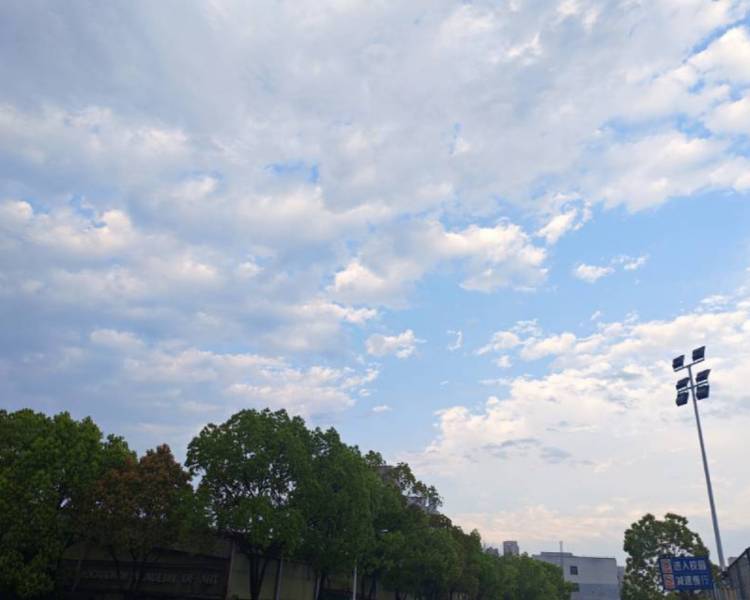 艺人背景图