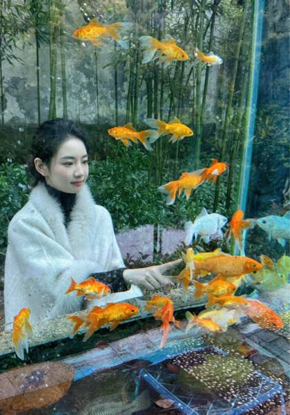 形象照片