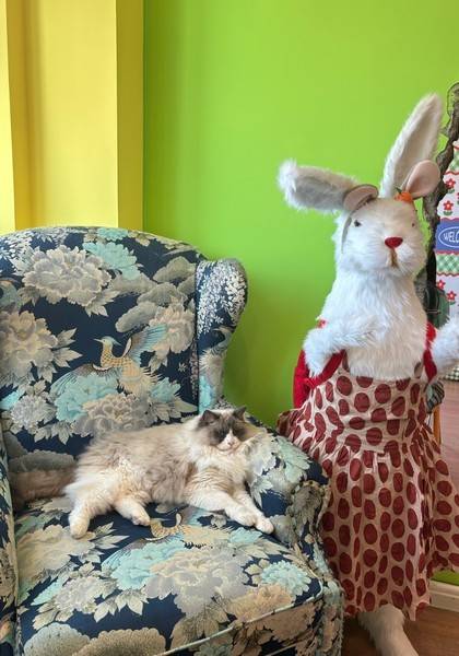 推荐艺人