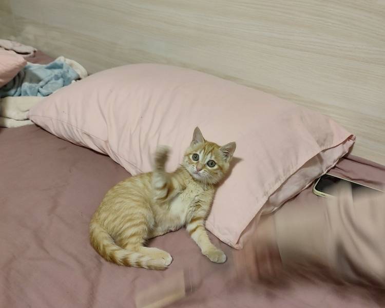 艺人背景图