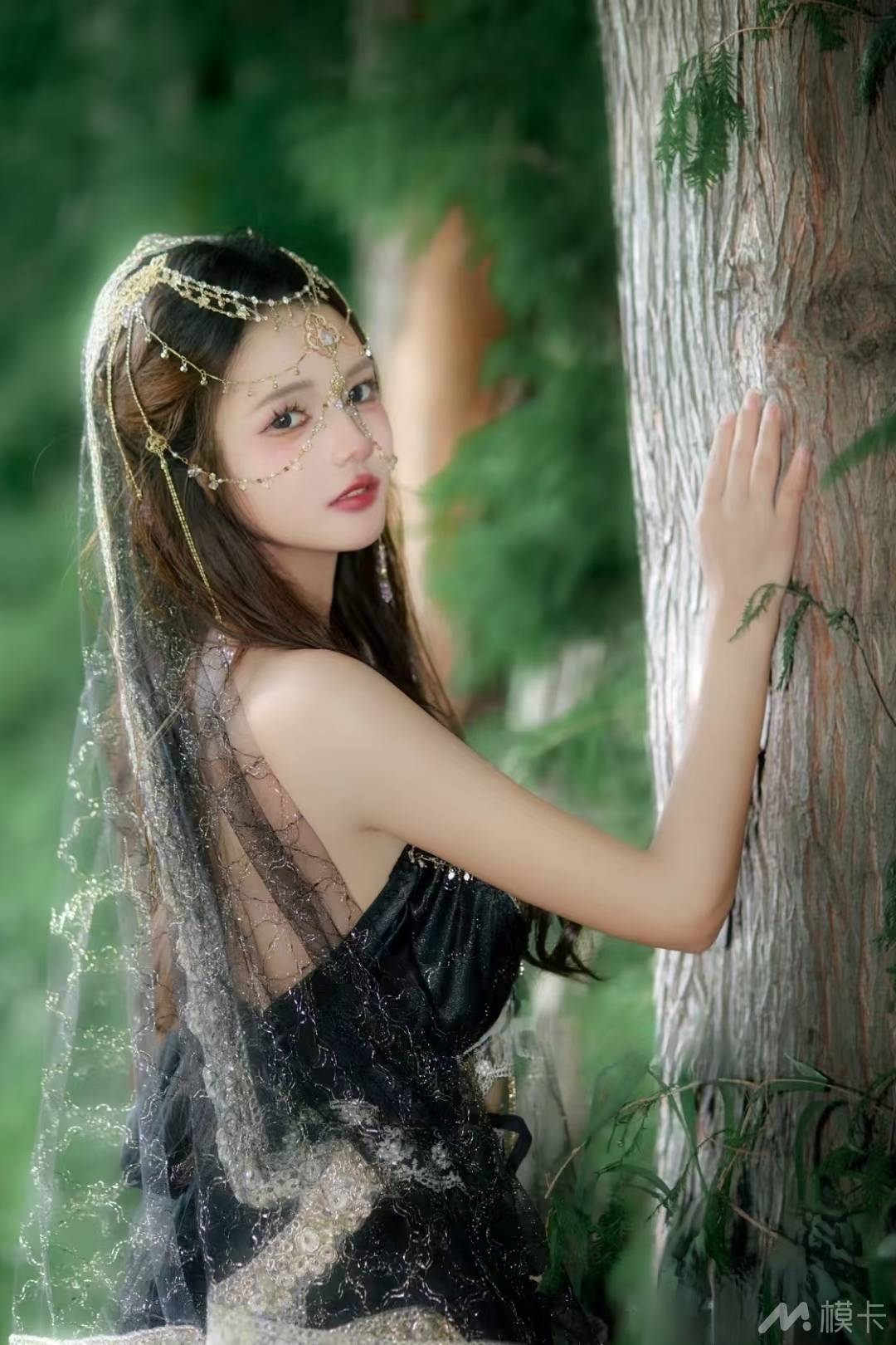 作品图片