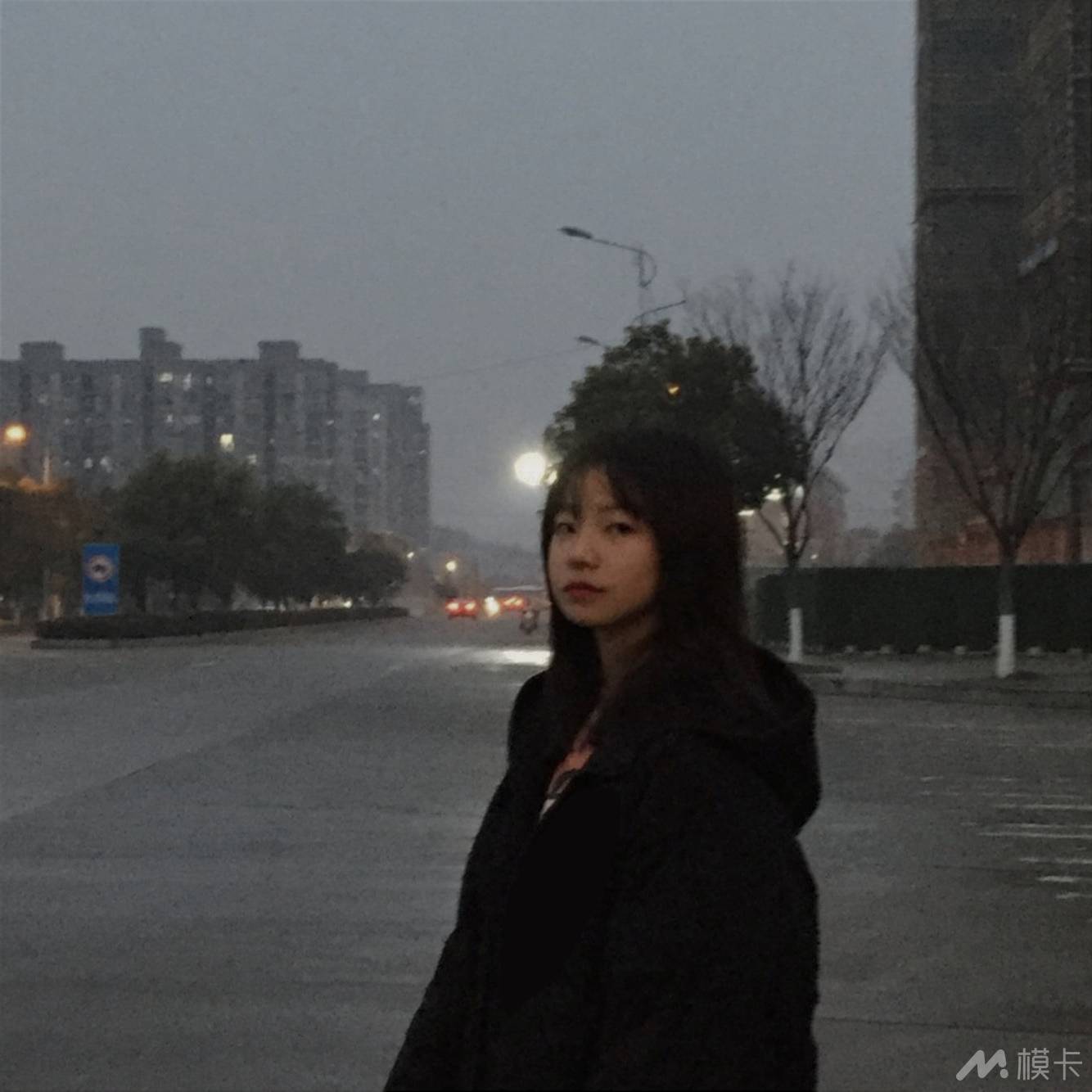 作品图片