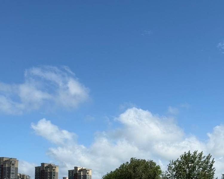 艺人背景图