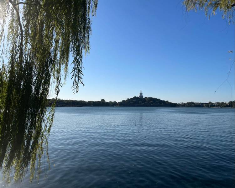 艺人背景图