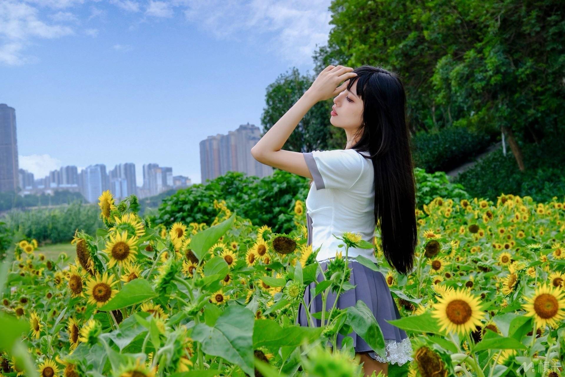 作品图片