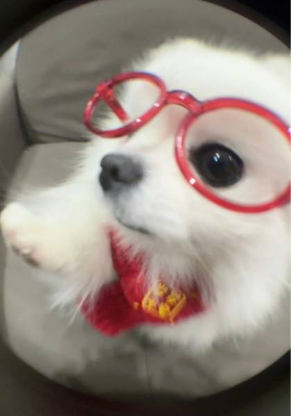 形象照片