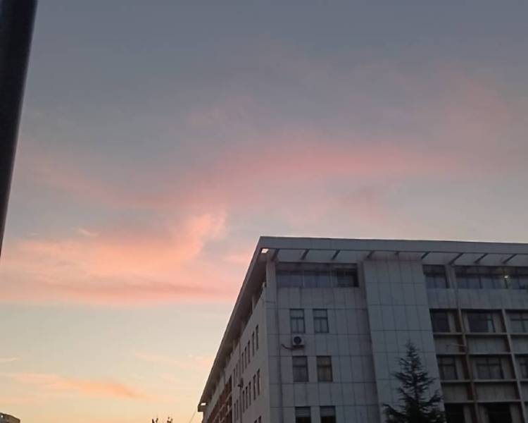 艺人背景图