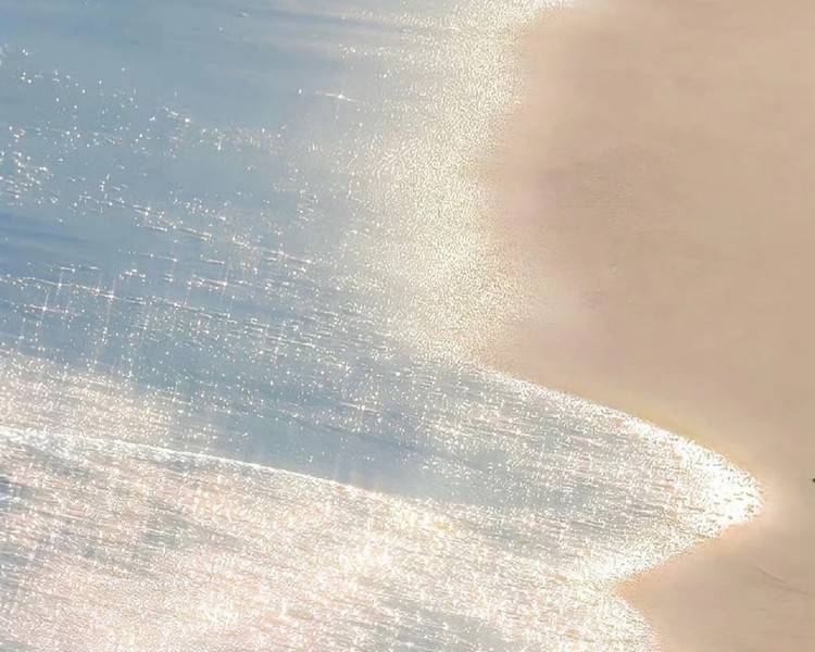 艺人背景图