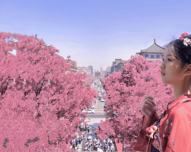 艺人背景图