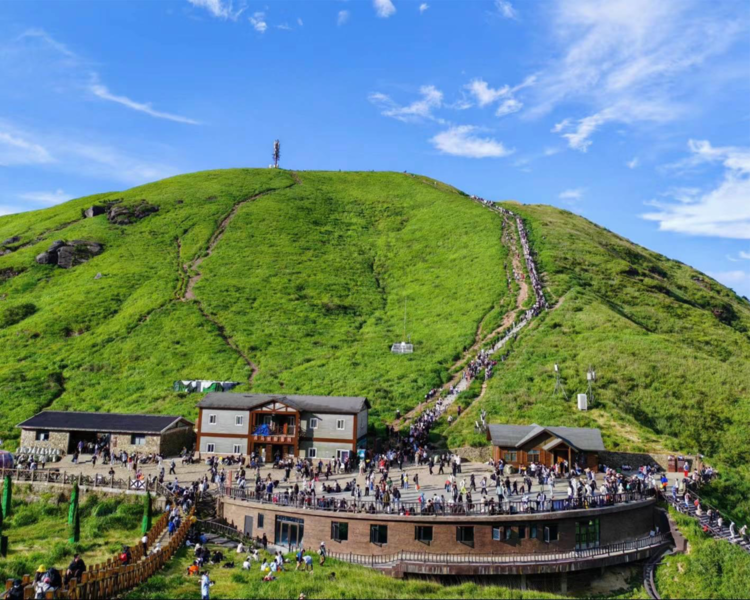 艺人背景图