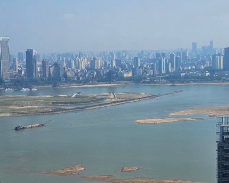 艺人背景图