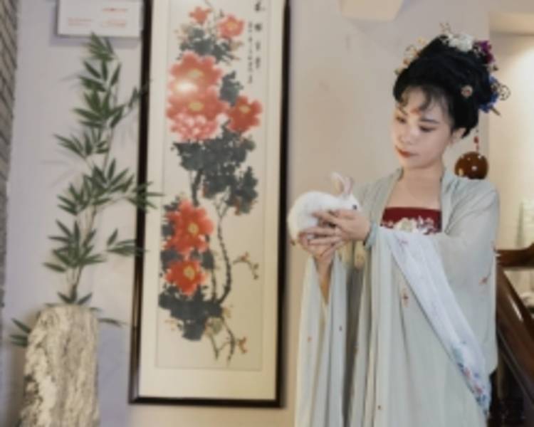 艺人背景图