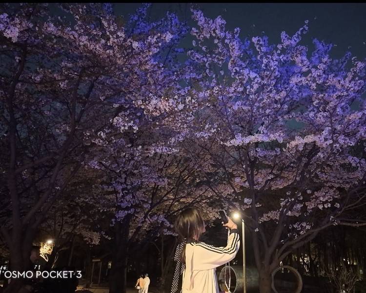艺人背景图