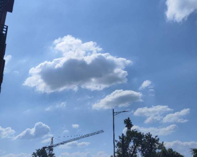 艺人背景图