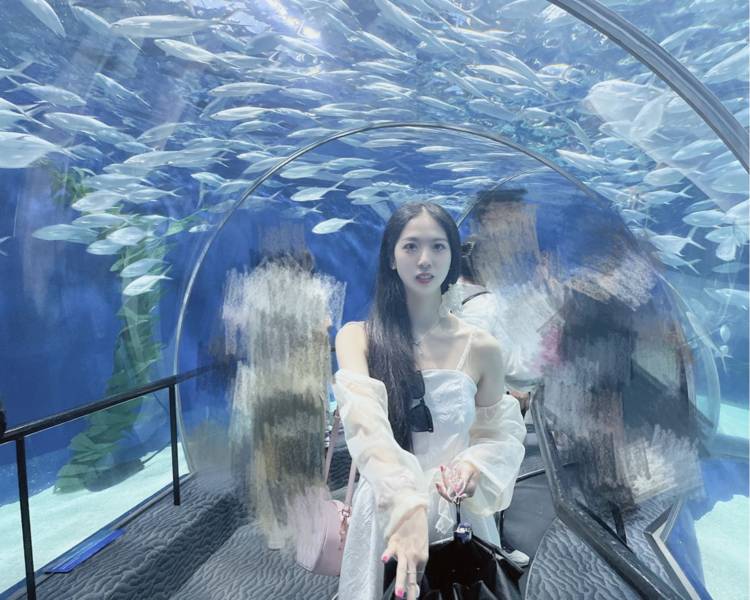 艺人背景图