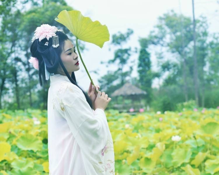 艺人背景图